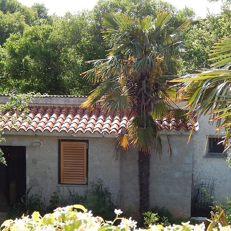 PUY Apartment Tomato חדר תמונה